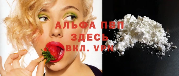 не бодяженный Горно-Алтайск