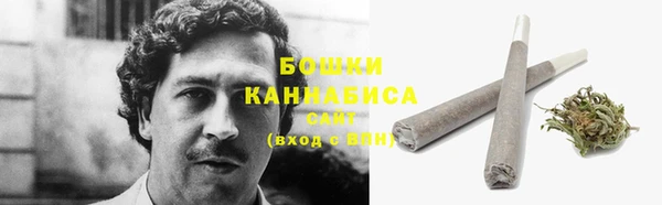 MESCALINE Горняк