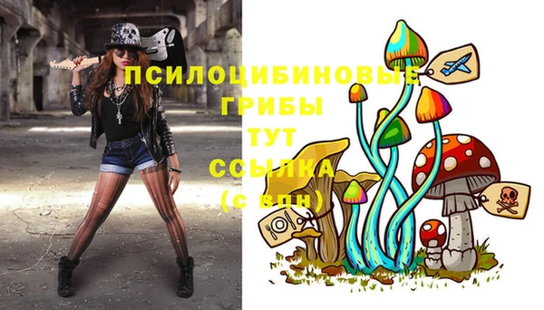 MESCALINE Горняк
