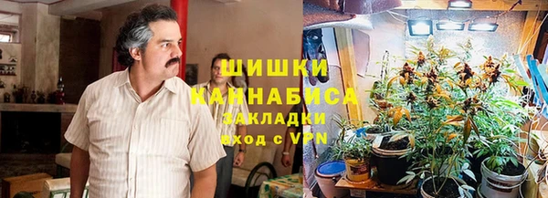 сатива Мурманск