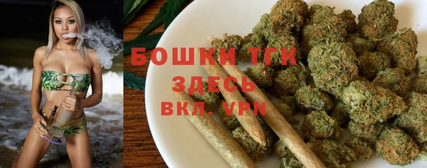 не бодяженный Горно-Алтайск